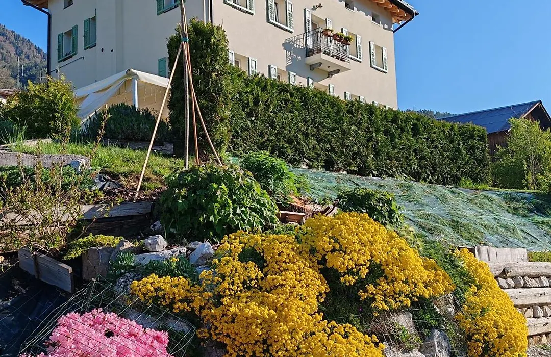 B&B Sognoincadore-1