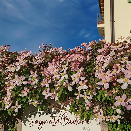 B&B Sognoincadore-3